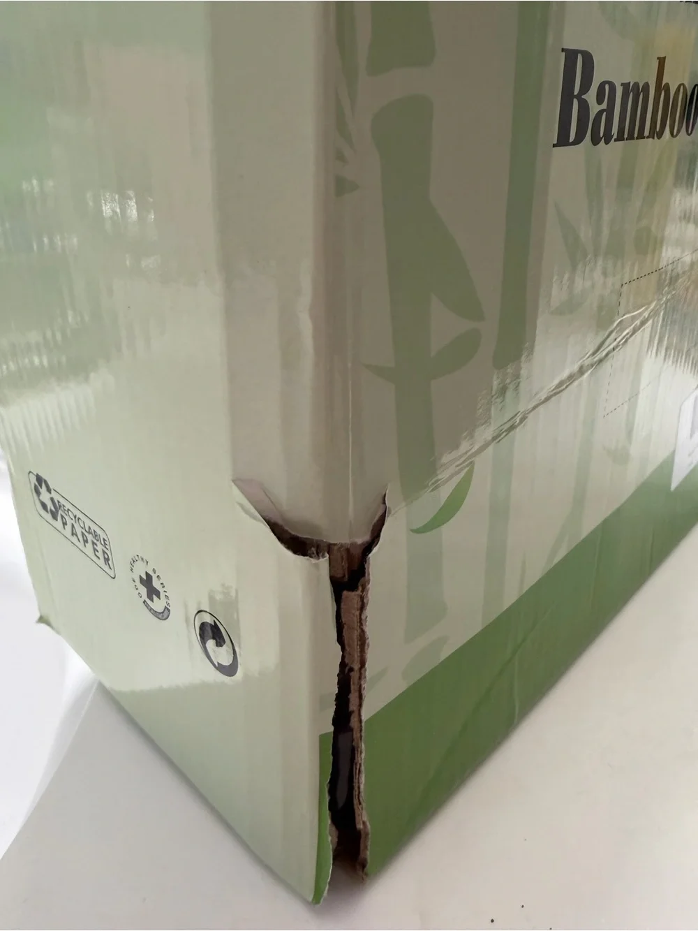Luxuriously Soft Bambou Sheet Set Soft Sage Green Bedding Set NIB